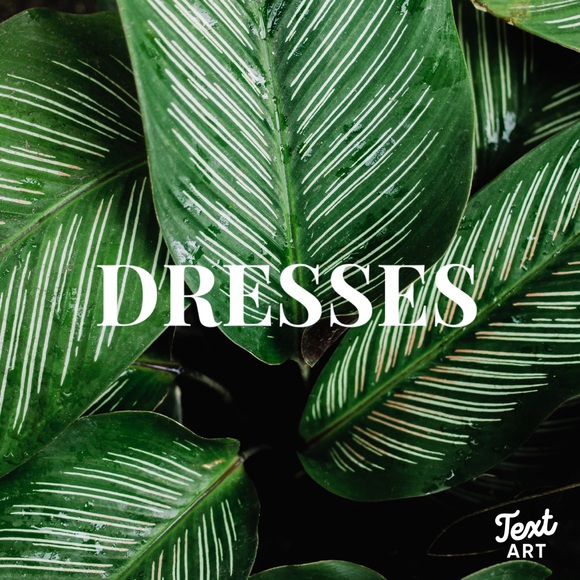 ♥️ - Picture 1 of 1